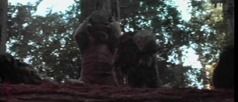 Ewoks throwing rocks